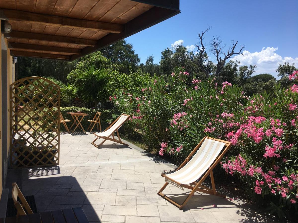 B&B Tavolara Puntaldia Exteriér fotografie
